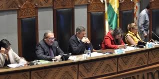 Senado conforma comisión especial para investigar la “mala” calidad de la gasolina